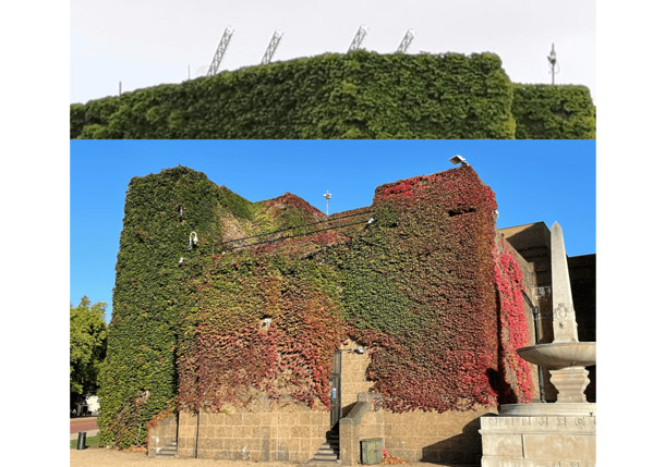 屋上のアンテナ（上）とツタに囲まれたアドミラルティ・シタデル（下）