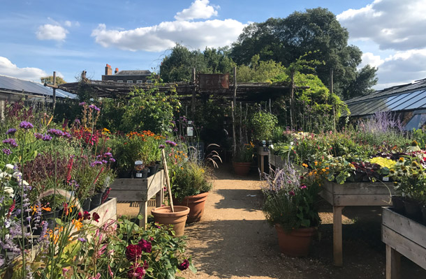 Petersham Nursries