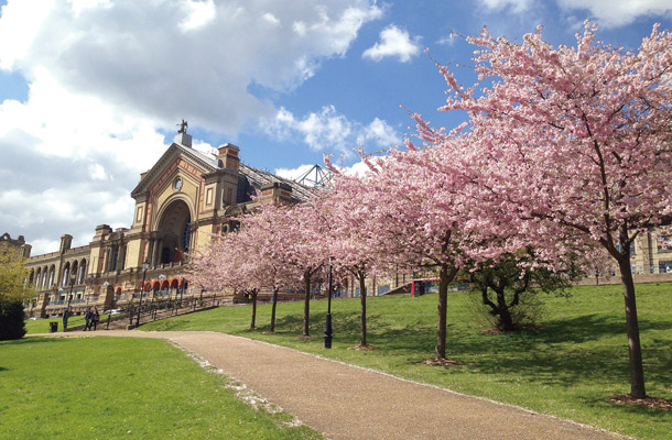 Alexandra Palace