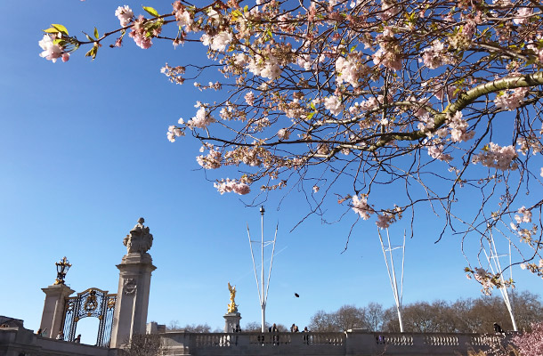 St James's Park