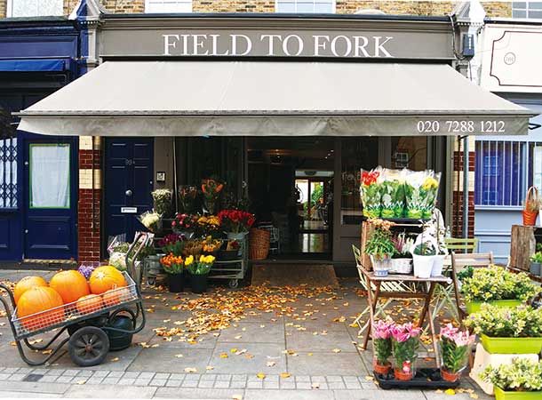 Field to Fork