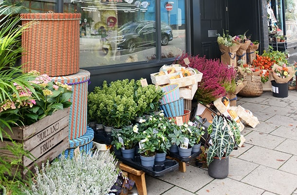 Highgate Flowers