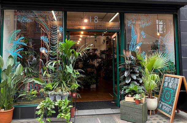 Plant Designs Shop