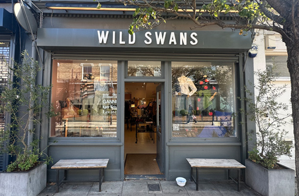 Wild Swans