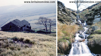 Bronte Country