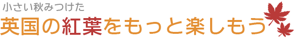 英国の紅葉をもっと楽しもう