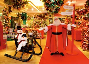 Christmas Grotto