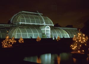 Christmas Grotto