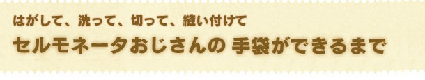 はがして、洗って、切って、縫い付けて　セルモネータおじさんの手袋ができるまで