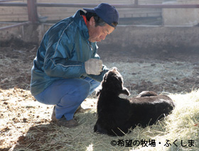 吉沢正巳さんの場合