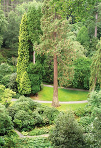 Conwy Bodnant Garden ボドナント・ガーデン