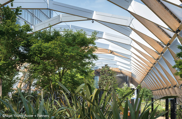 Crossrail Place Roof Garden