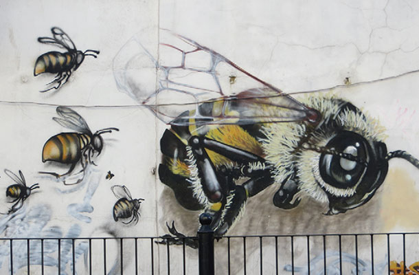 ミツバチを救うことを題材にしたストリート・アート