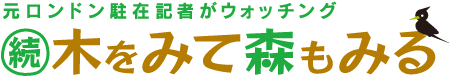 続・木をみて森もみる