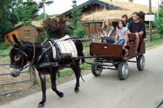 アンティーク ドイツ ロバ 馬 ワグナー 送料無料 西ドイツ