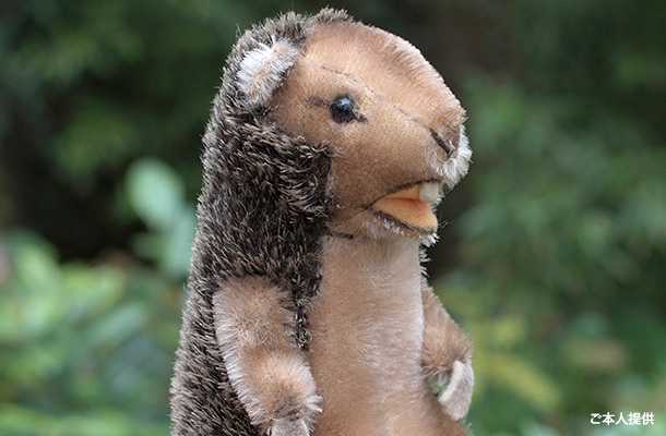 世界中で愛されるシュタイフのぬいぐるみたち -