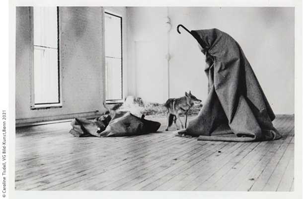 Amazon.co.jp: BEUYS IN JAPAN ヨーゼフ・ボイス よみがえる革命