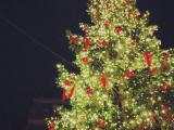 デュッセルドルフのクリスマスマーケット007