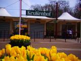 オランダのキューケンホフ公園