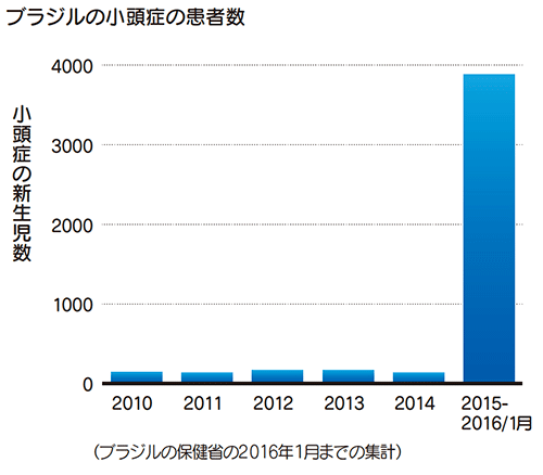 ブラジルの小頭症の患者数