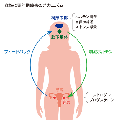 パンフレット