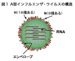 図1