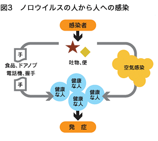 ノロウイルスの人から人への感染