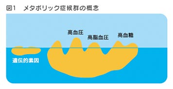 連鎖球菌の模式図