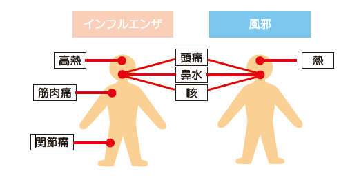 インフルエンザと風邪の違い