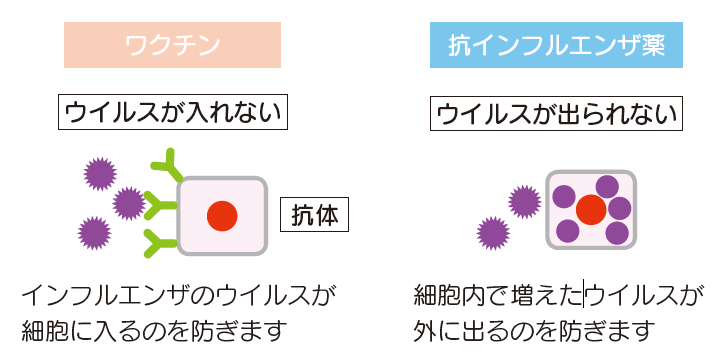 図2.　ワクチンと抗インフルエンザ薬