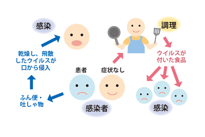 図1.　ノロウイルス感染の拡大