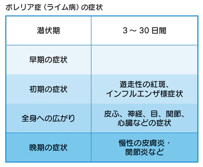 ボレリア症（ライム病）の症状