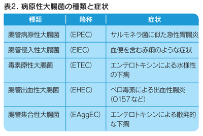 病原性大腸菌の種類と症状