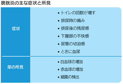 膀胱炎の主な症状と所見