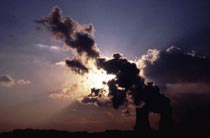 原子炉トラブルとドイツ人の環境意識