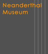 Neanderthal Museum