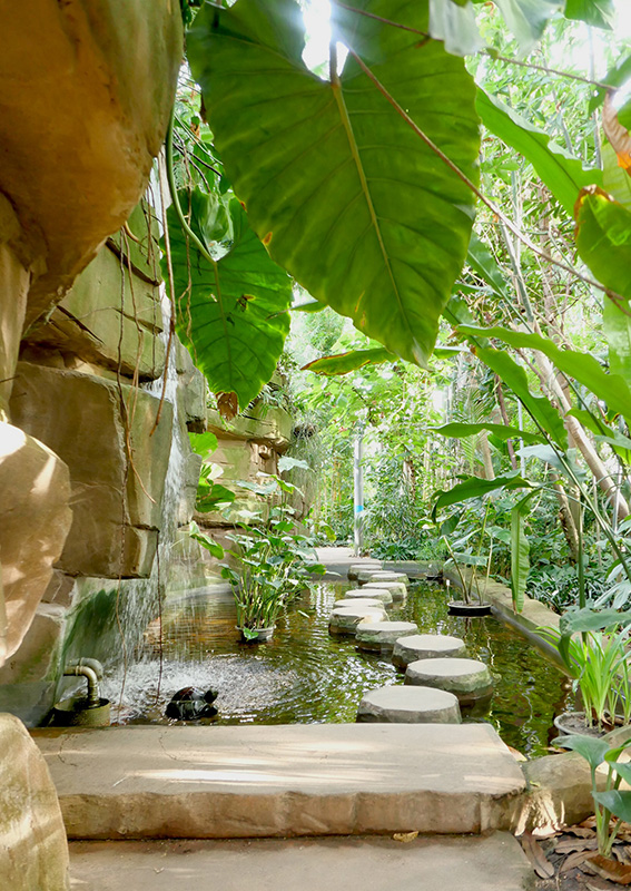 温室内には池もあり、水が流れる音が心地良く響いています