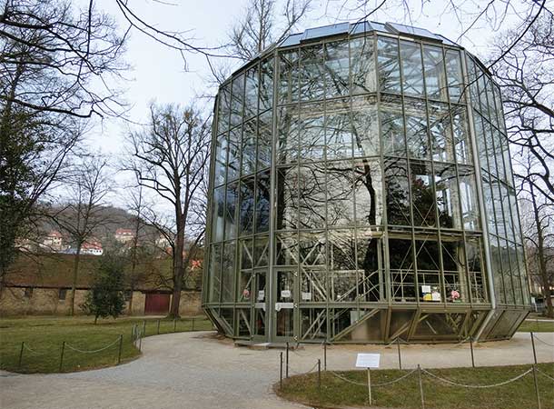 ピルニッツ宮庭園内にある椿専用温室