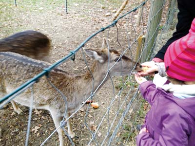 子どもとしか