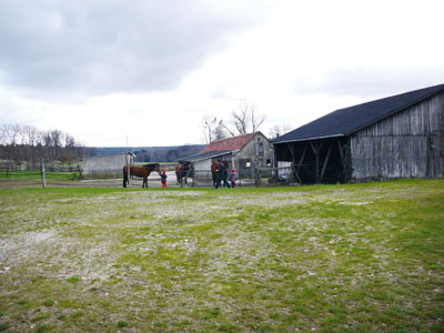 馬小屋