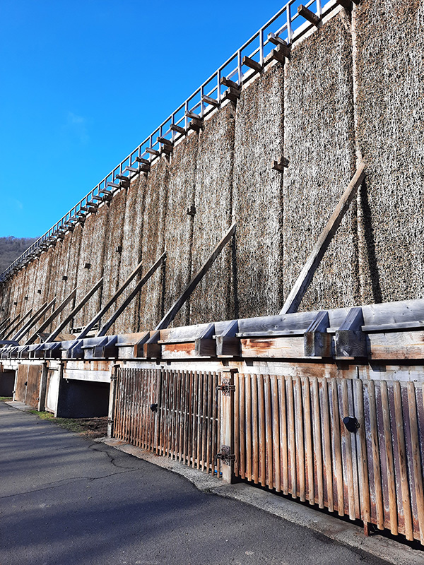茅葺き屋根のような巨大なGradierwerk