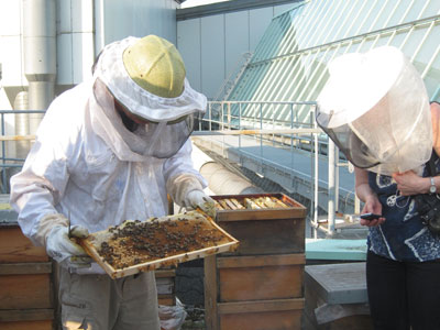 生きた蜂を披露する養蜂スーツを着たハース氏と見学者