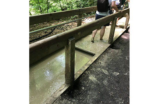 ちょっと勇気がいる泥んこ道