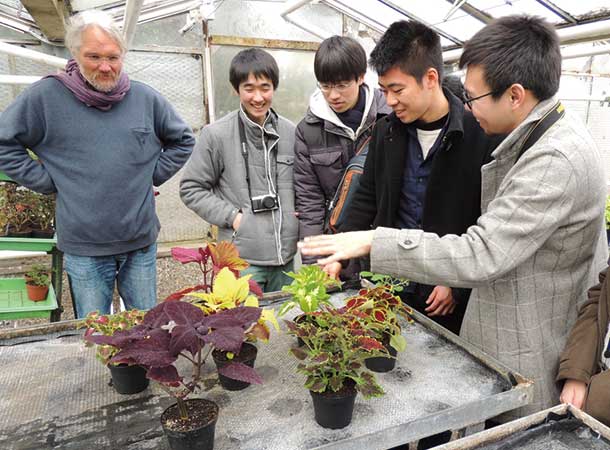 植物の進化