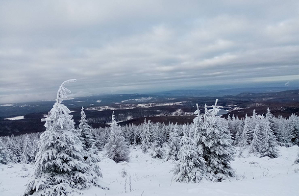 ハルツ山地の雪景色