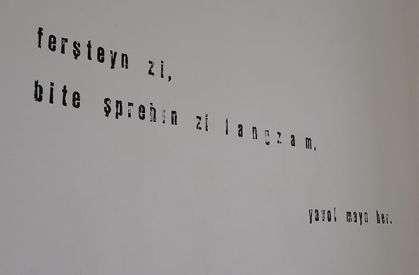 作品「DOYÇ: ... für eine bessere Verständigung.」Esra Oezen