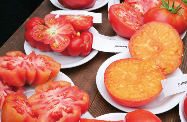 さまざまな種類のトマトの断面