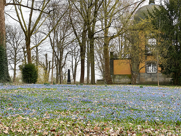 パビリオンの周りも青いじゅうたん