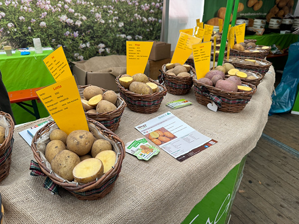 ザクセン州で生産されているジャガイモの展示