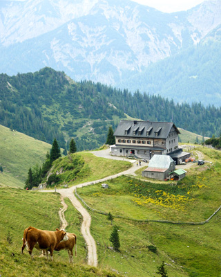 美しい山小屋「Rotwandhaus」と放牧された牛たち